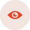 Vision
